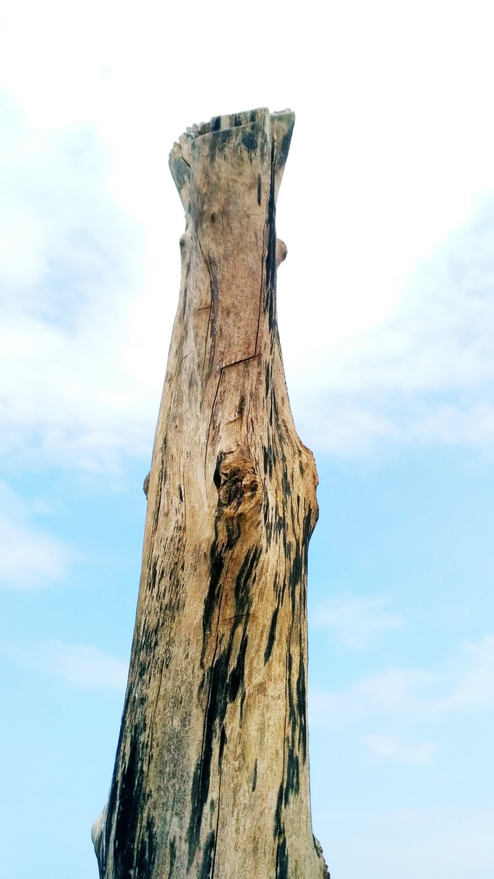 holiday of nature's