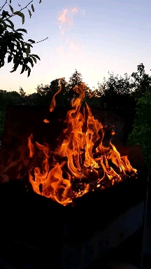 Fire