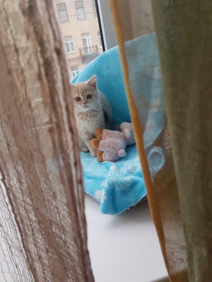 Милашка