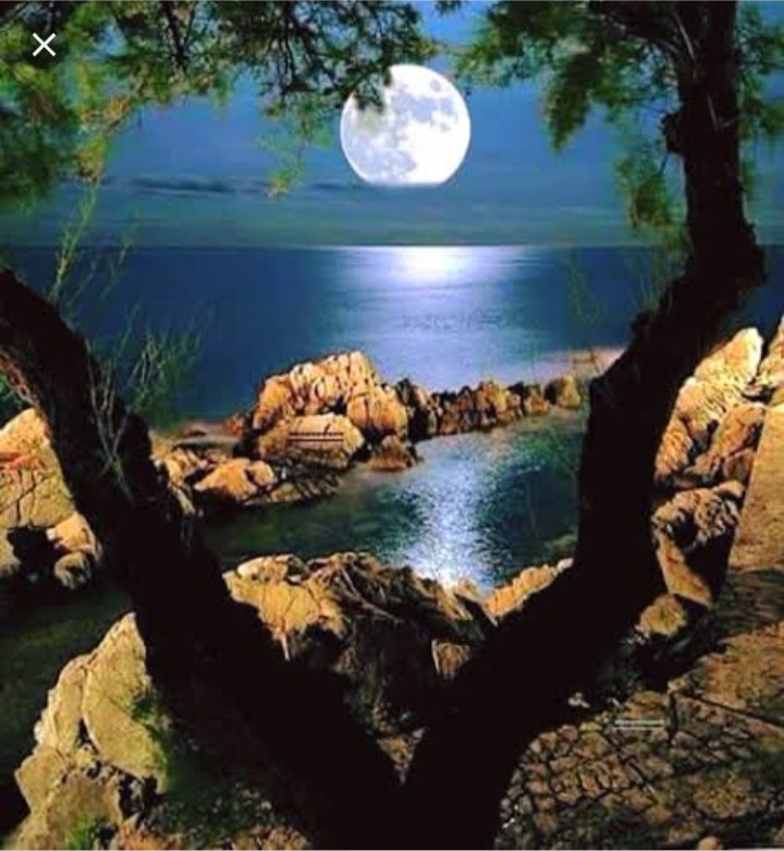 Lovely