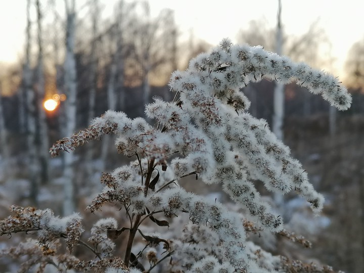 winter