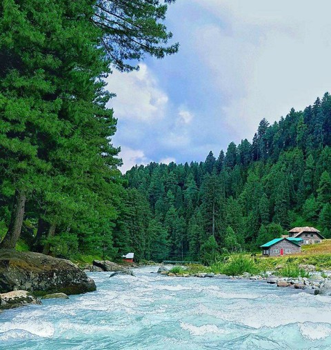 kashmir