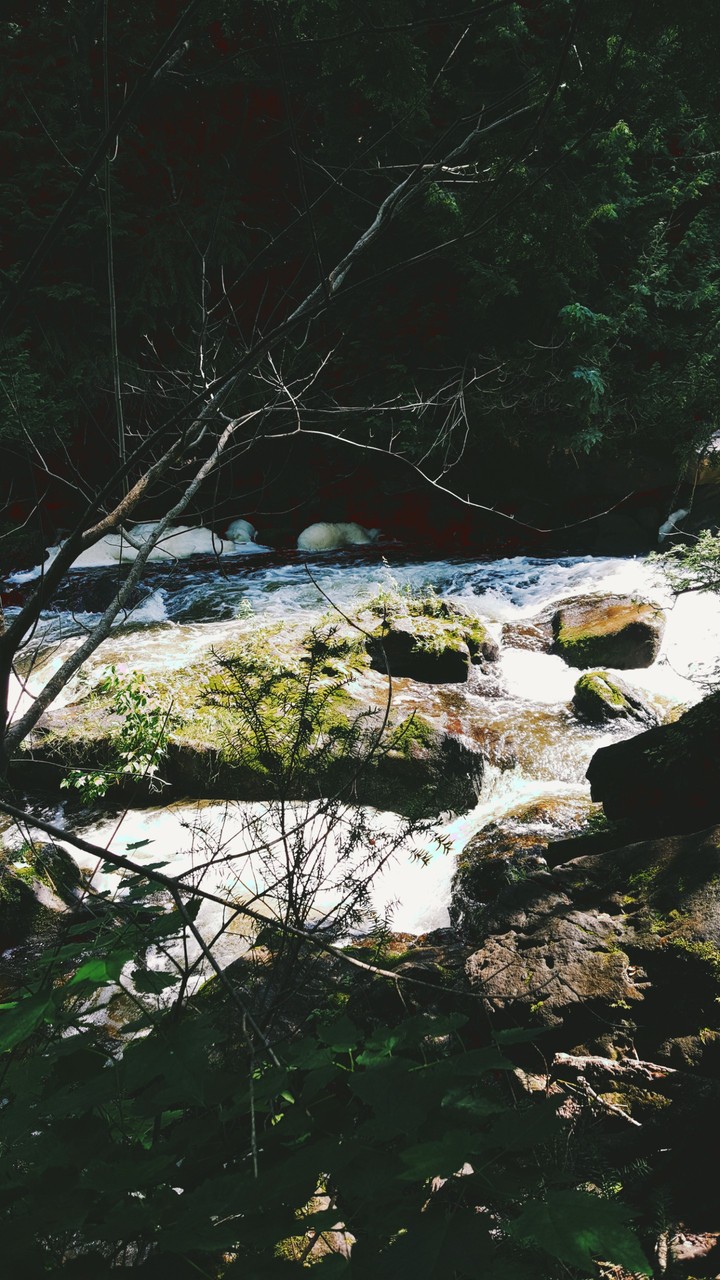 Nature at it's finest