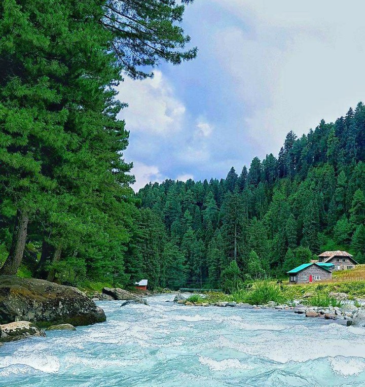kashmir