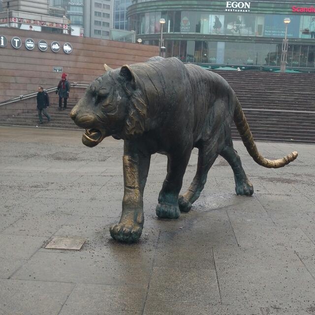 USA Lion