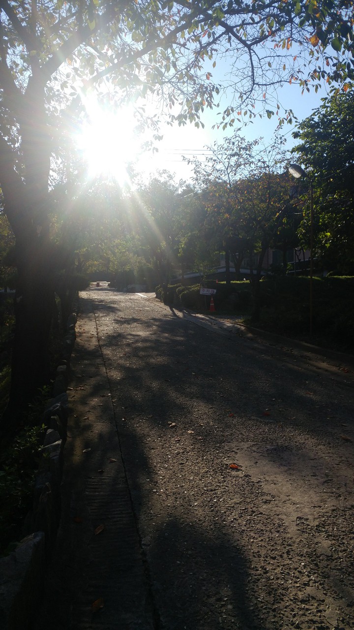햇살