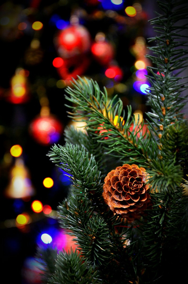 NEW YEAR