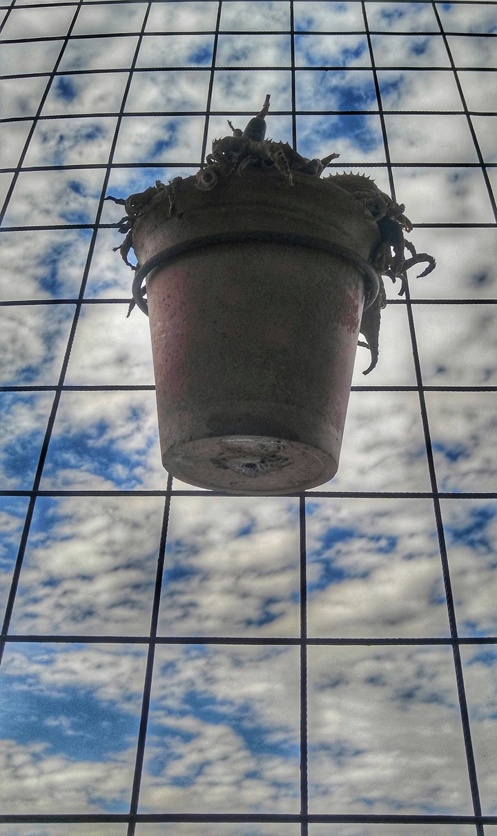 sky