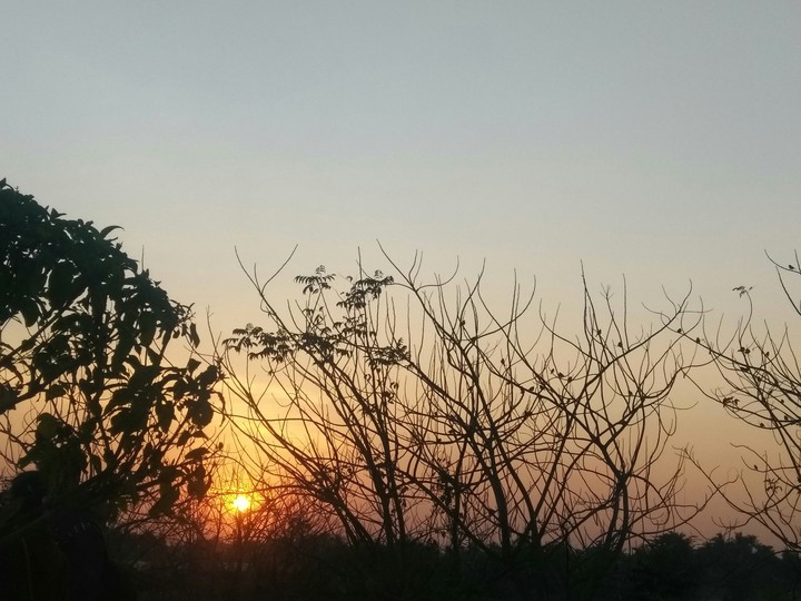 Good  morning
