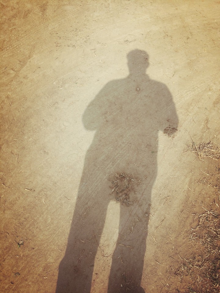 my Shade