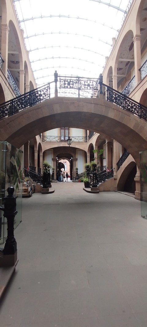 vault, houseplant háttérképek