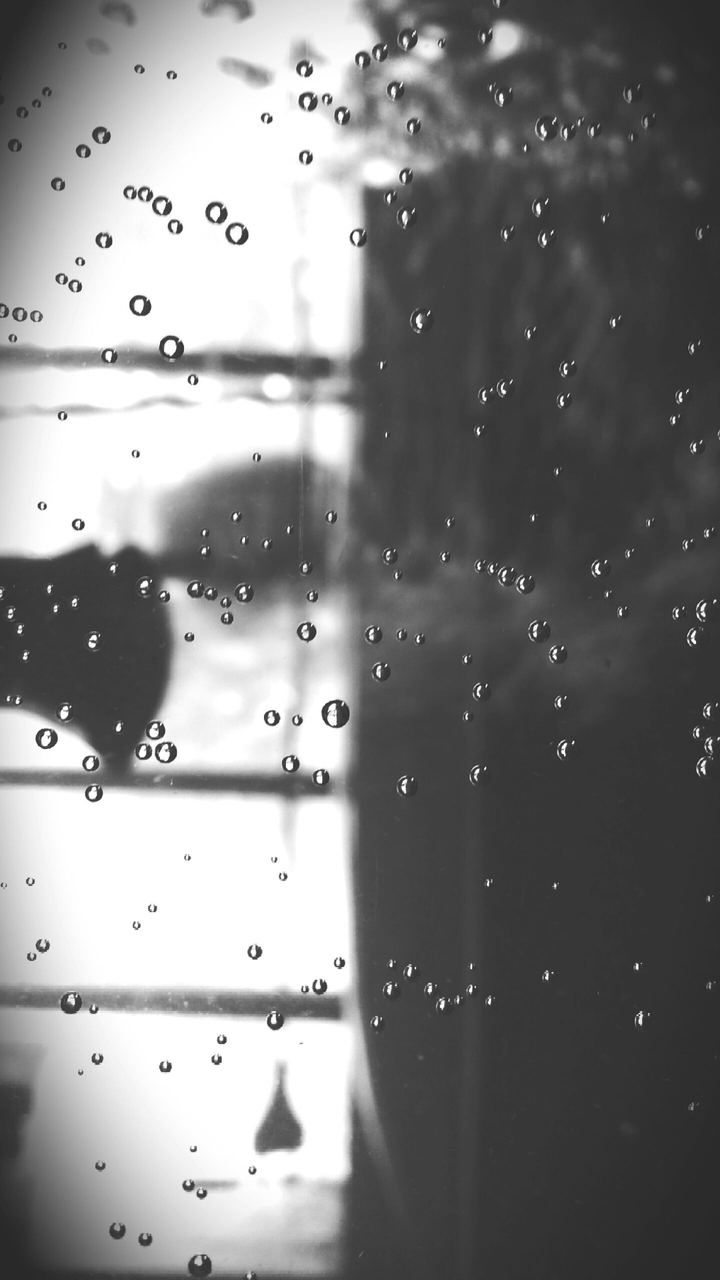 Air Bubbles