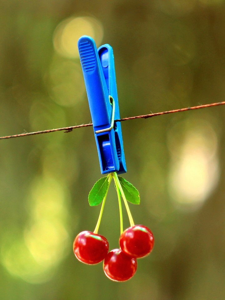 Blue pin and red cherry