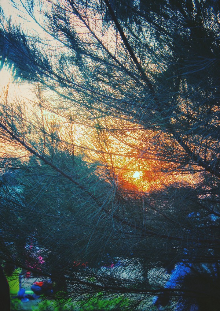 Sunset hues