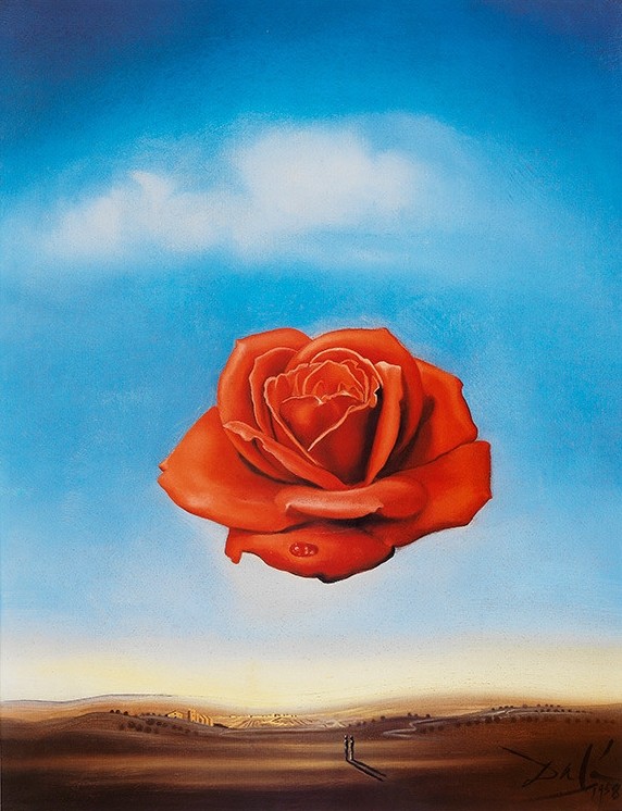 Rosa meditativa