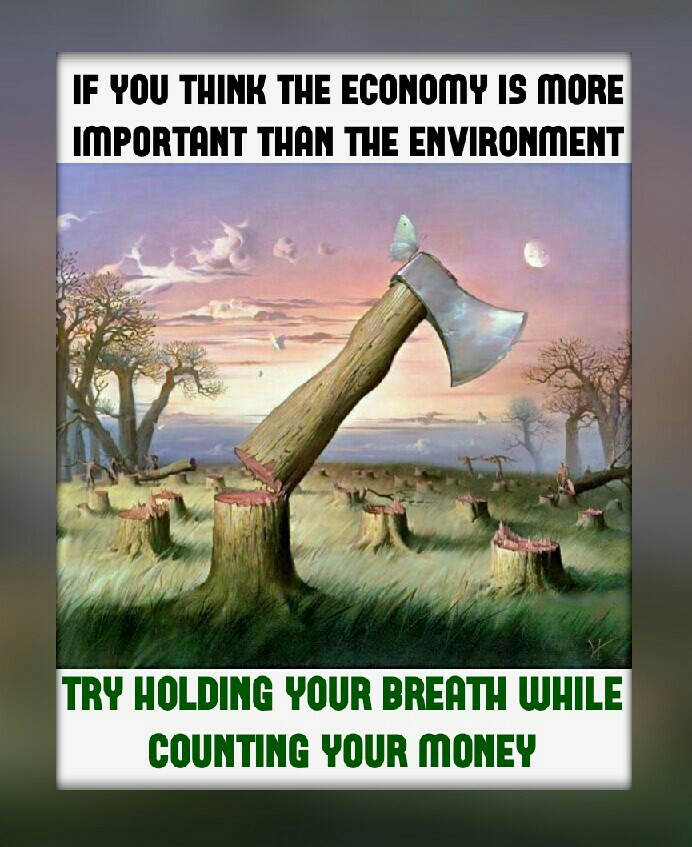 save trees