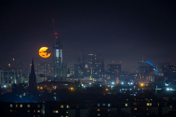 for my moon fans