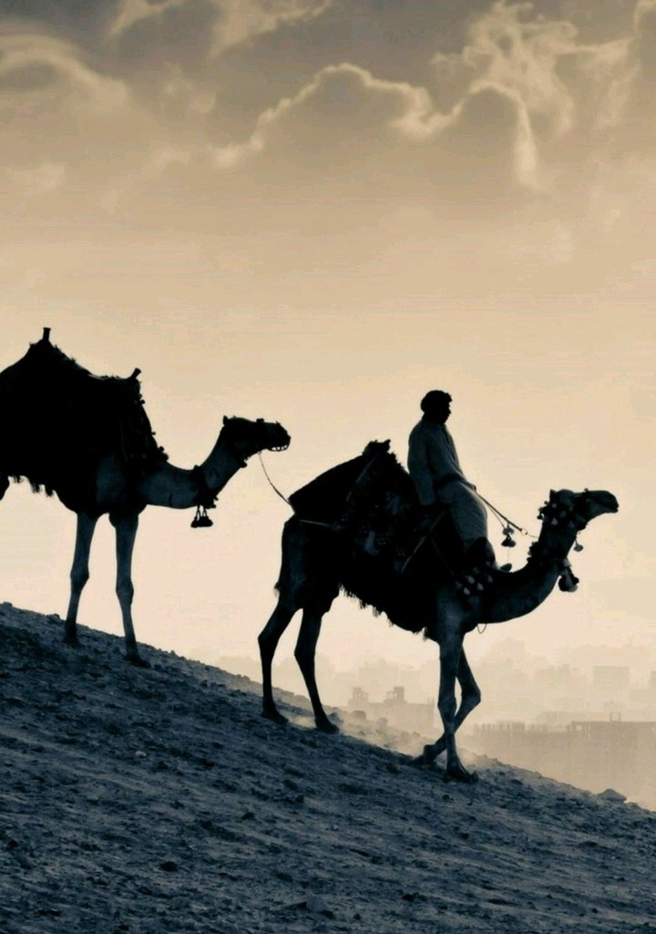 #desert#nice moment#hd wallpaper
