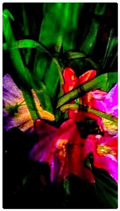painted flowers