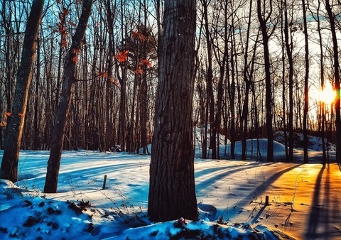 Fire and Ice