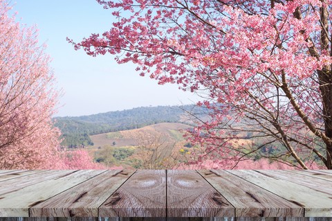 Spring Time