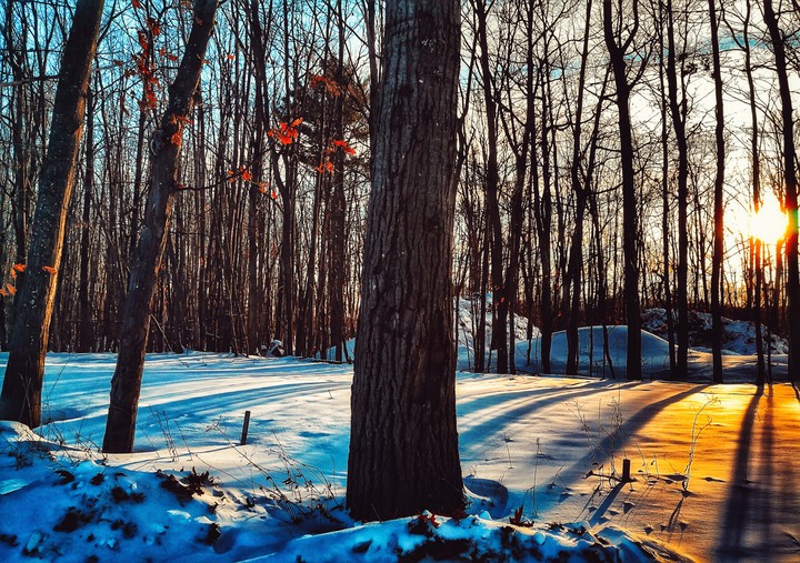 Fire and Ice