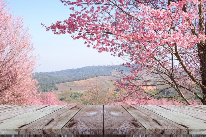 Spring Time