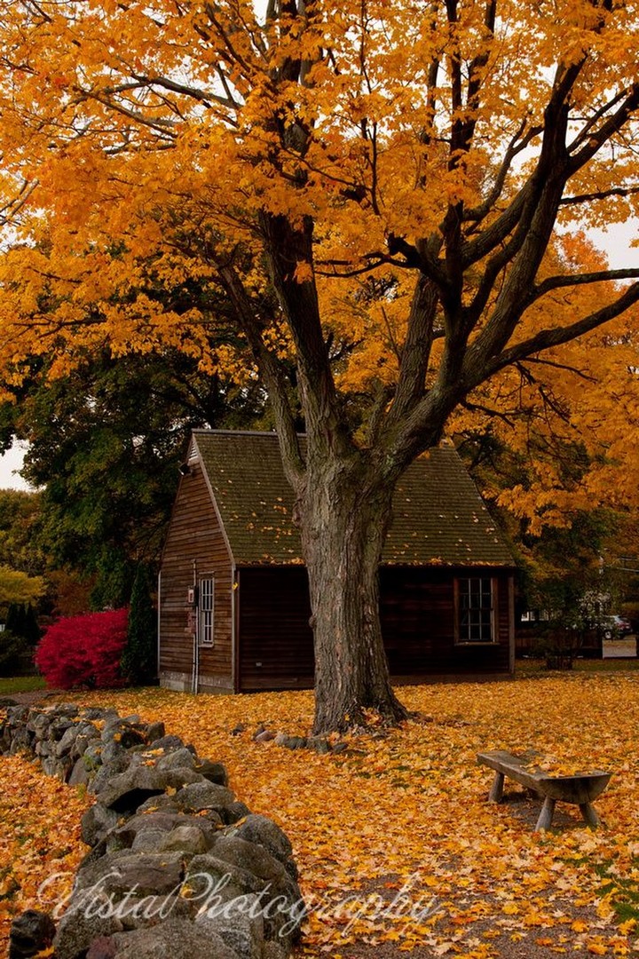 Autumn