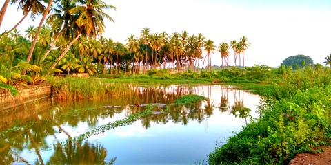 in to the nature