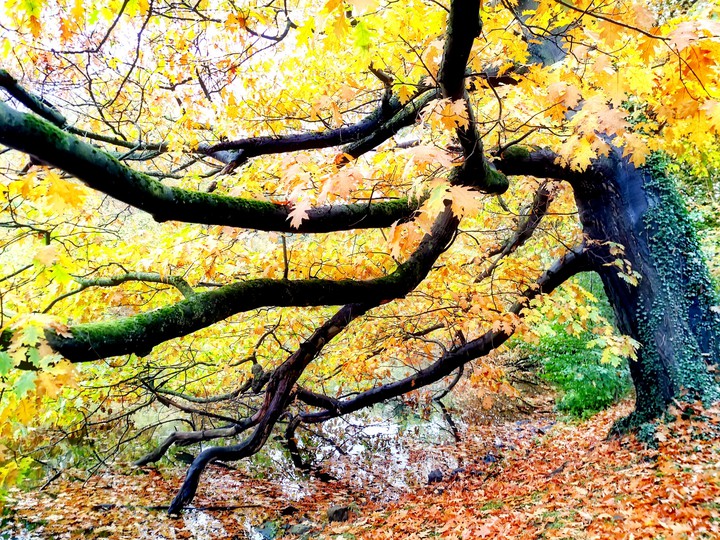 Herbst 2019