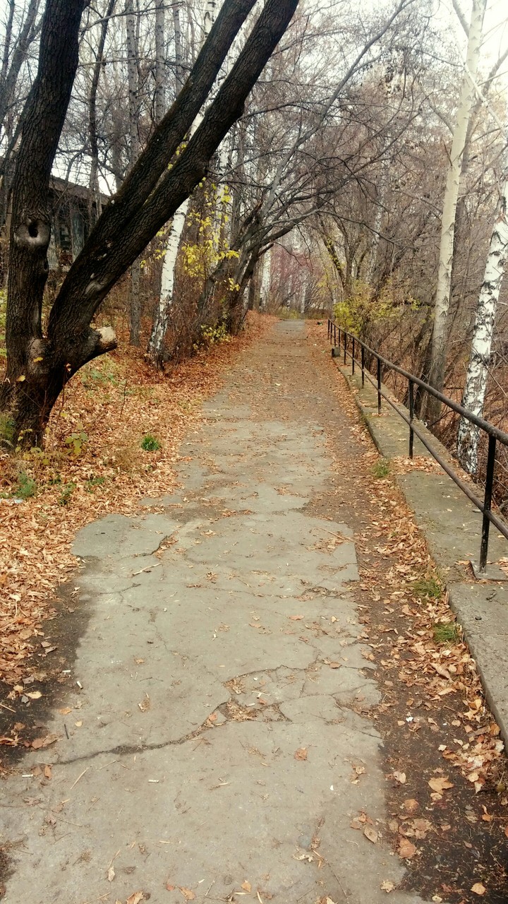 Осень