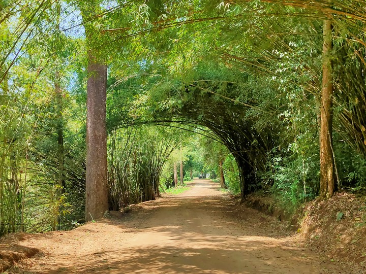 Love Path