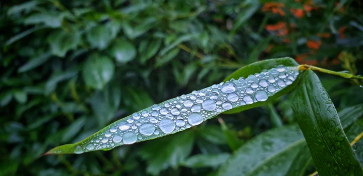 waterdrops