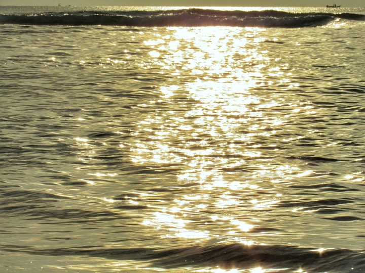 Golden Velvet