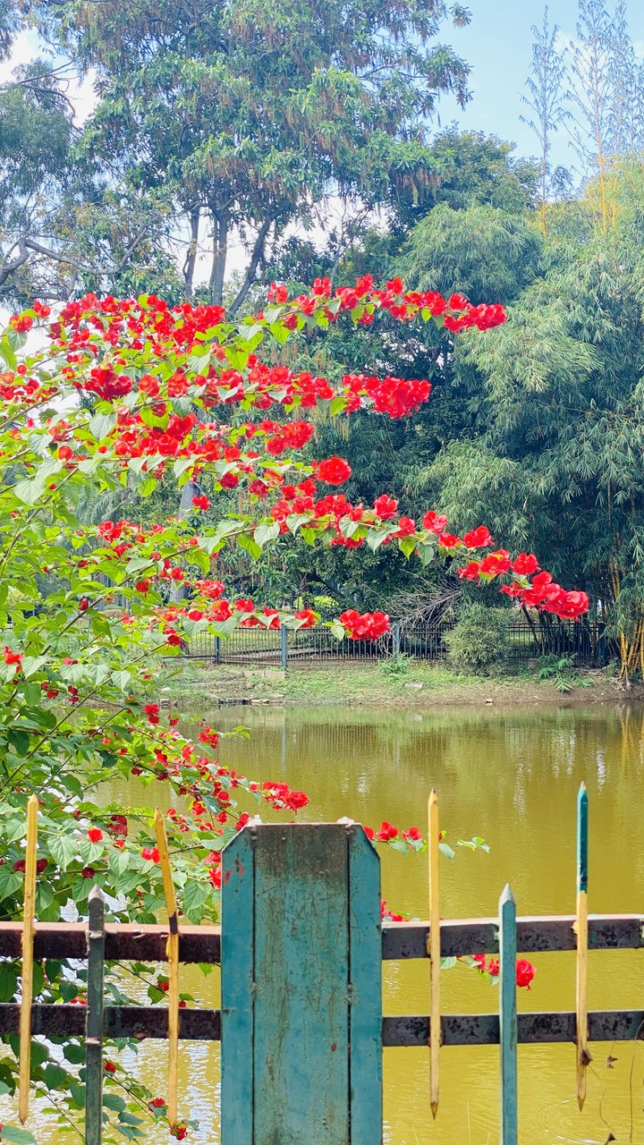 nature is the biggest designer