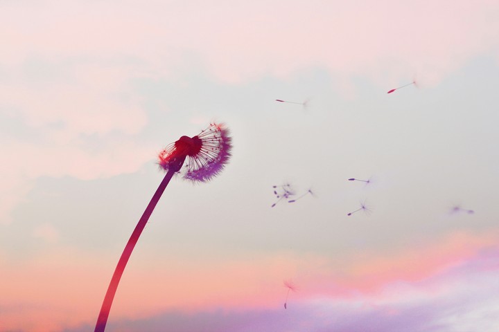Let It Go