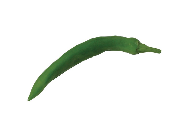 음식이미지