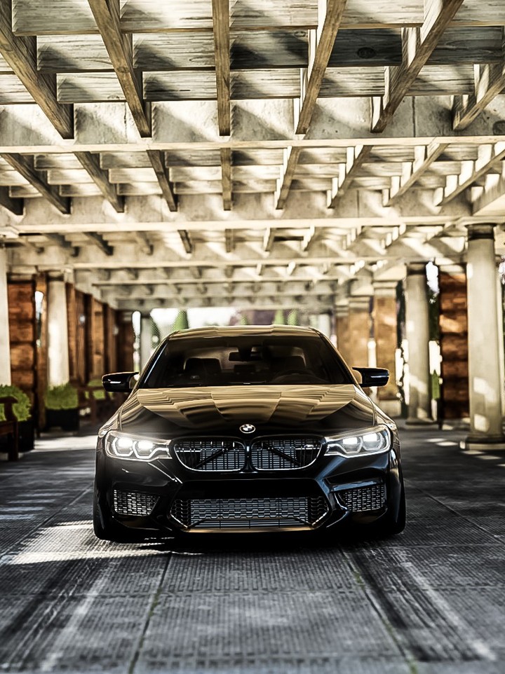 Forza Bmw