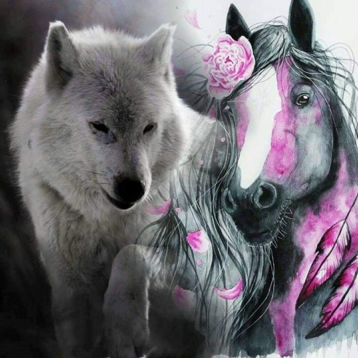 Wolf and Horse