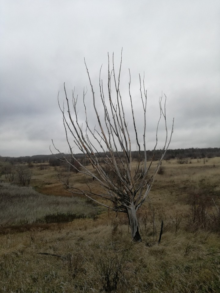 осенний пейзаж