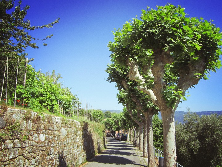 Italy 2017