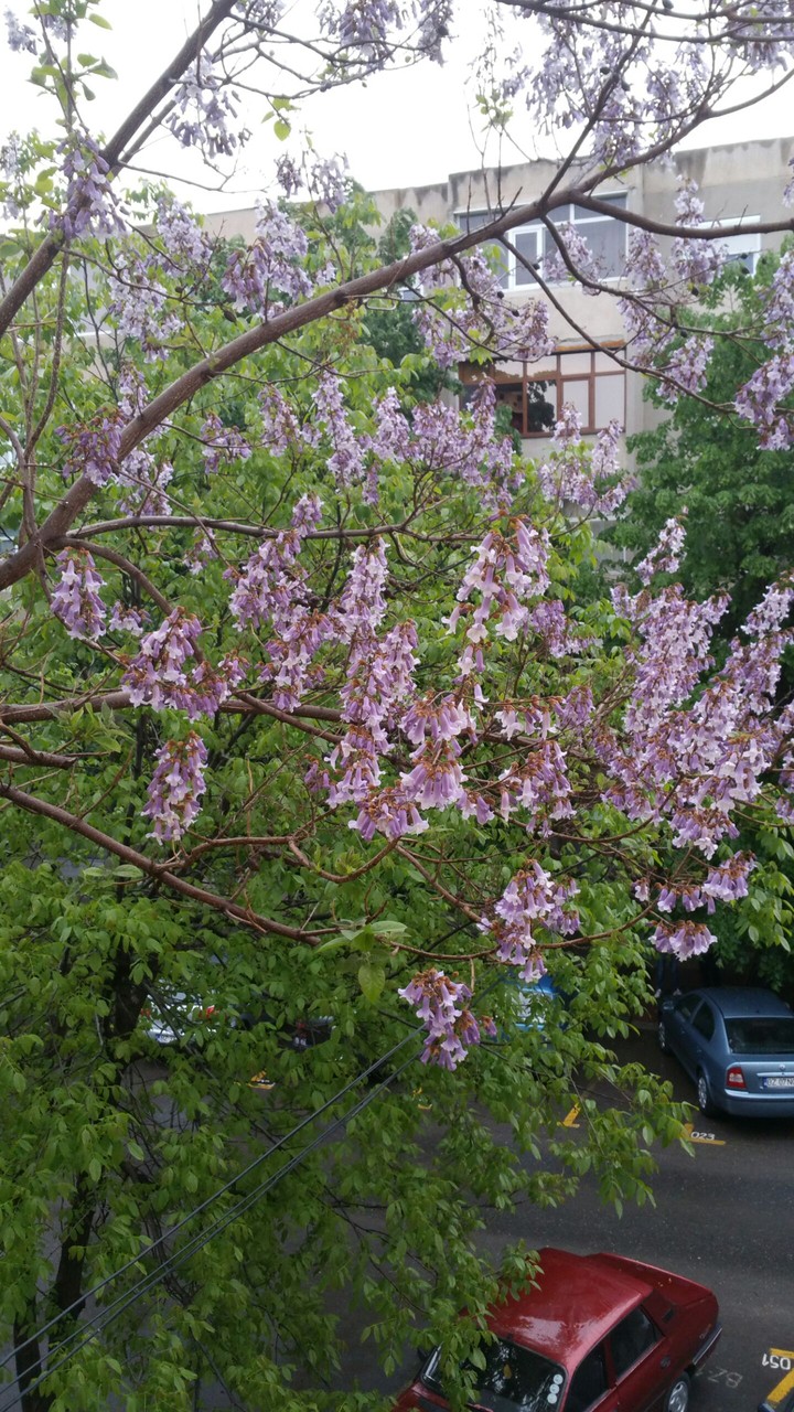 nature