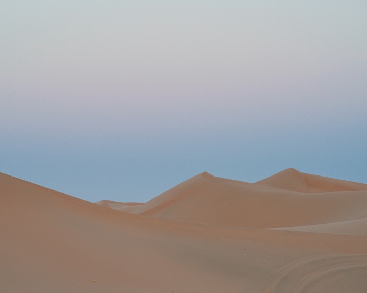 in the desert #1