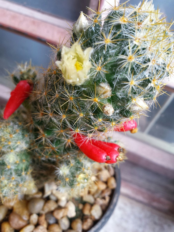 natureza
