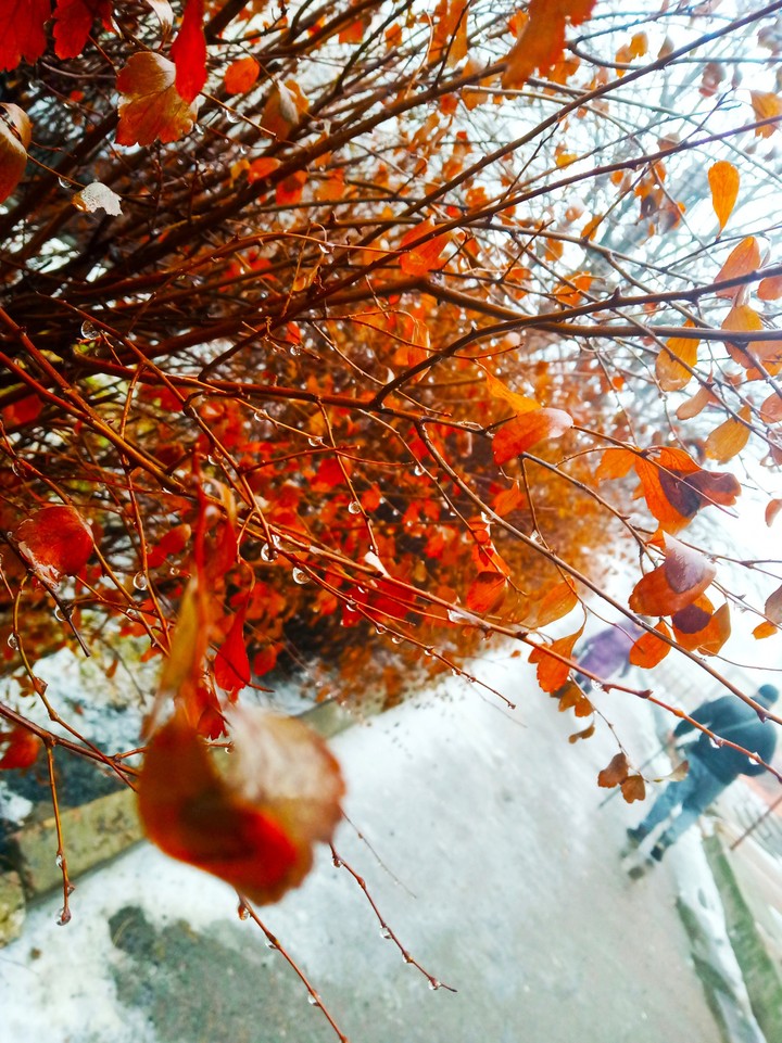 December