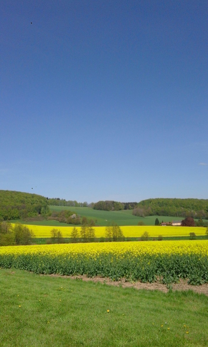 BlueSky