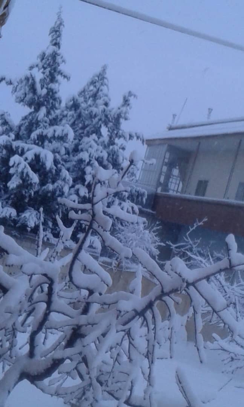 Snow