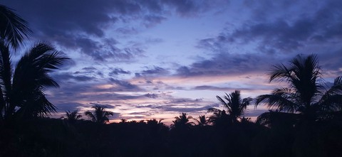 evening