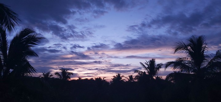 evening