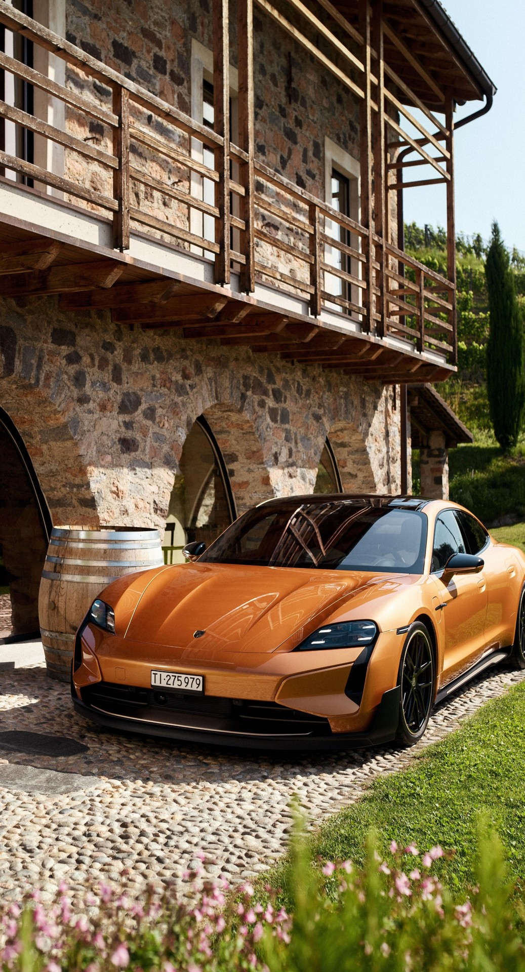 supercar, bumper Hintergrundbilder